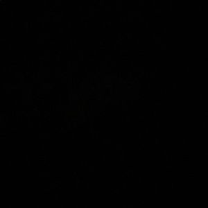 Meet your Posher, Katelyn